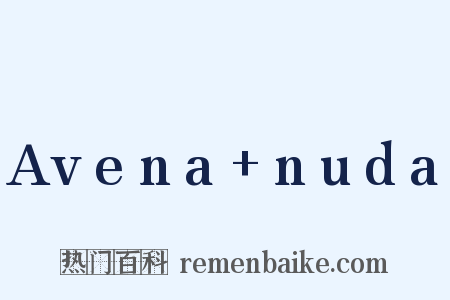 Avena+nuda是什么意思的图片